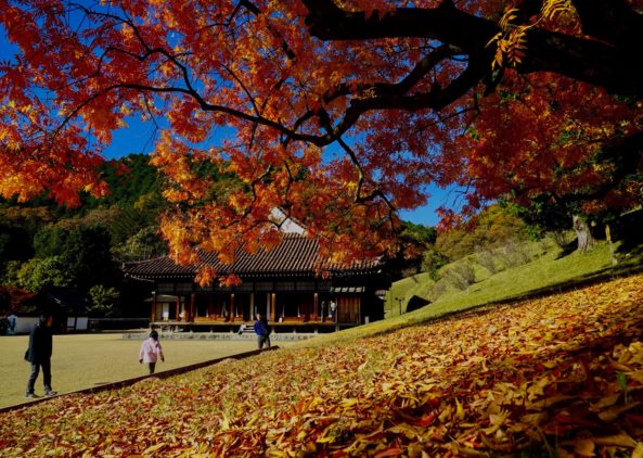 関西へ、紅葉とケンチク探訪の旅。