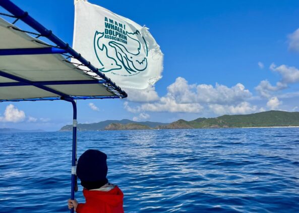 ホエールスイムツアーに合流